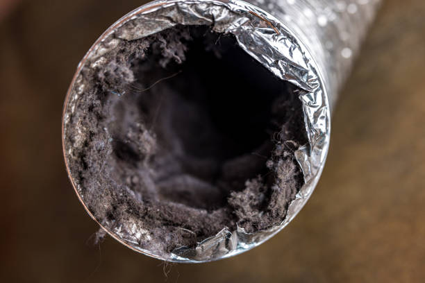 Best Affordable HVAC Duct Cleaning  in Carrollton, IL